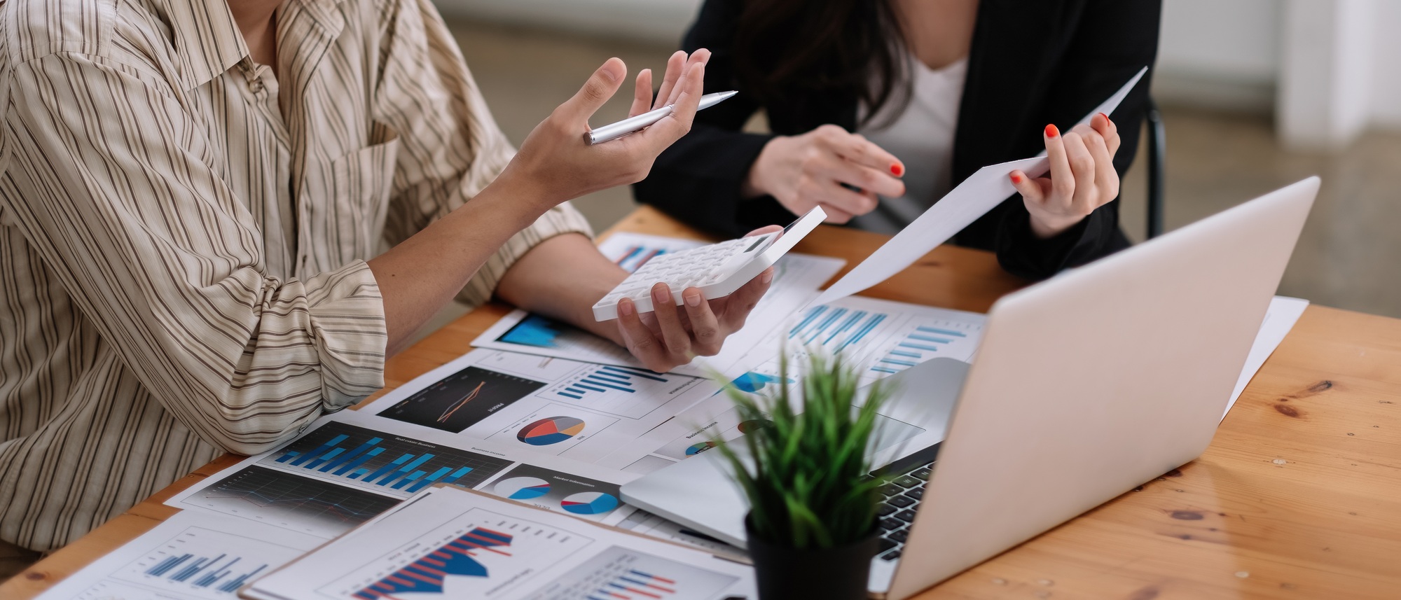 Business adviser meeting to analyze and discuss the situation on the financial report in the